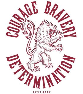 T-shirt Gryffindor Harry Potter – Courage & Style magique