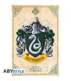Poster Serpentard – 91,5 x 61 cm