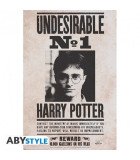 Poster Wanted Harry
