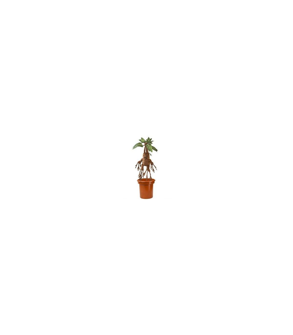HARRY POTTER -MANDRAKE - PELUCHE INTERACTIVE 30 CM