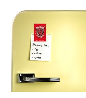 HARRY POTTER - GRYFFONDOR - MAGNET - POP COLOR