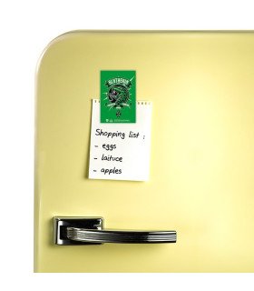 HARRY POTTER - SERPENTARD - MAGNET - POP COLOR