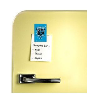 HARRY POTTER - SERDAIGLE - MAGNET - POP COLOR
